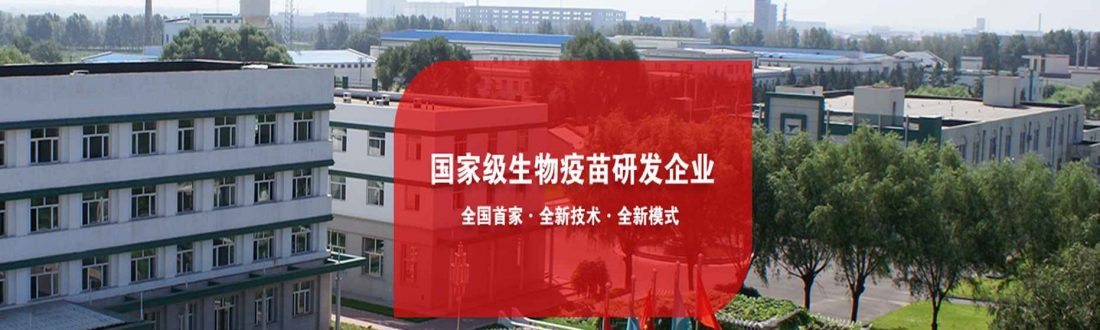 02通图